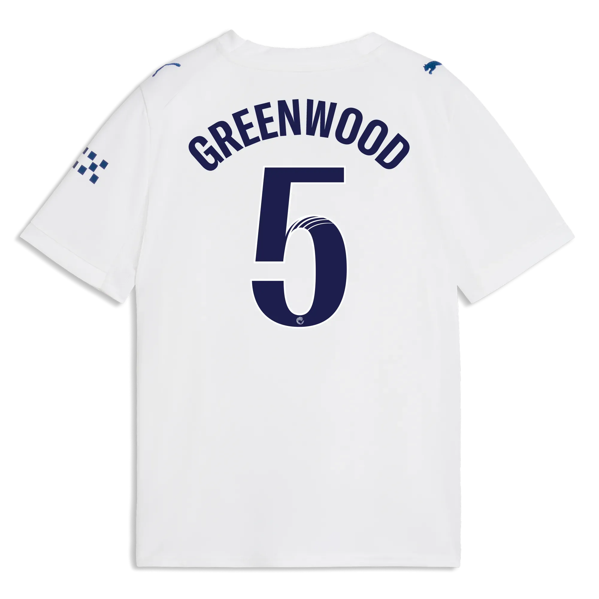 Kids’ Manchester City Third Jersey 2026/27 With GREENWOOD 5 Printing | Manchester City Shop
