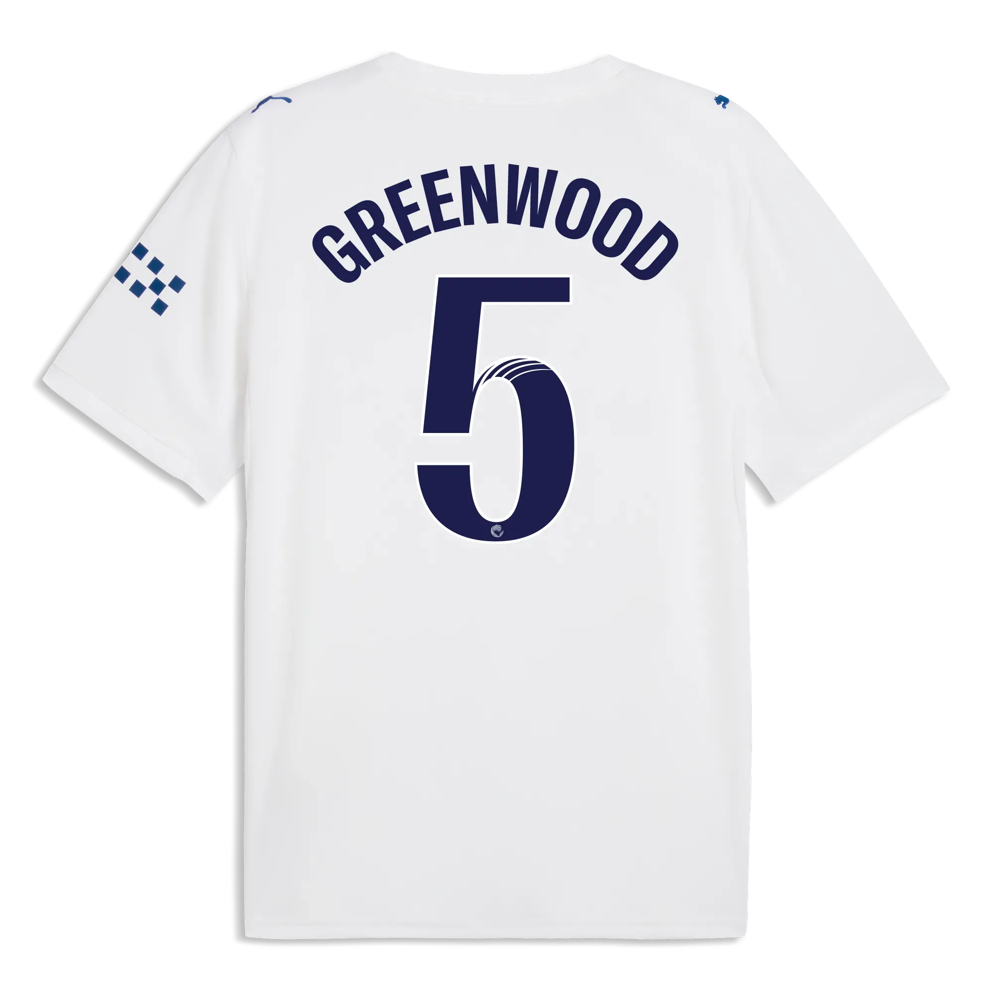 Manchester City Third Jersey 2026/27 With GREENWOOD 5 Printing | Manchester City Shop